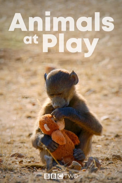 Show cover for Animals at Play