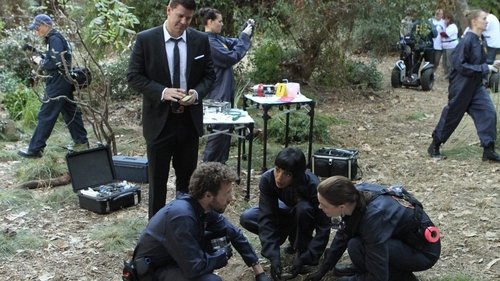 Background image for The Twist in the Plot