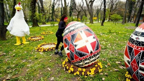 Background image for Oh Egg, Where Art Thou