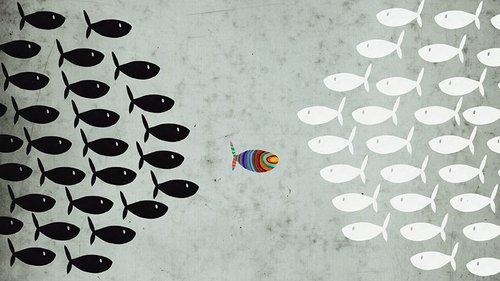 Background image for Mr. Fish