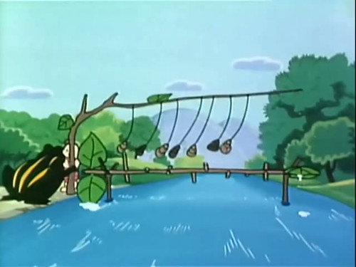 Stylish frog gymnastics