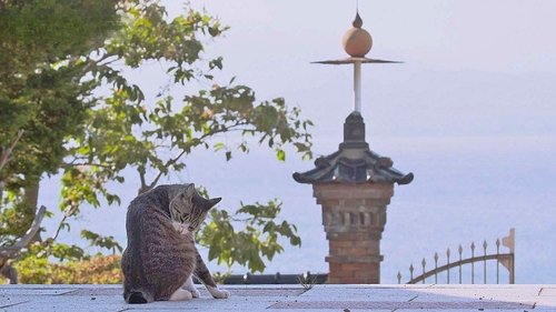 Background image for Hakodate: The Bounties of a Seaside City
