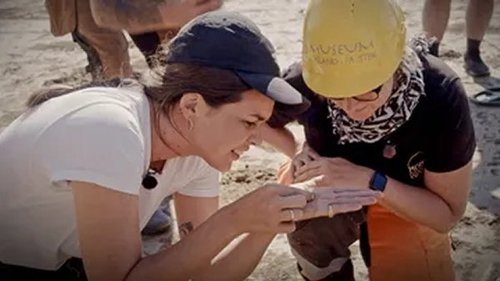 Background image for The Warrior from the East