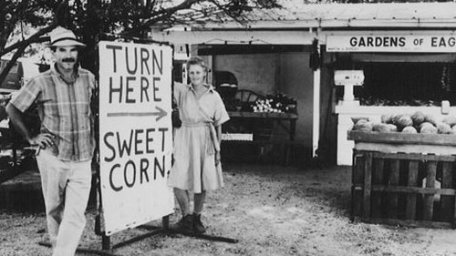 Background image for Turn Here Sweet Corn