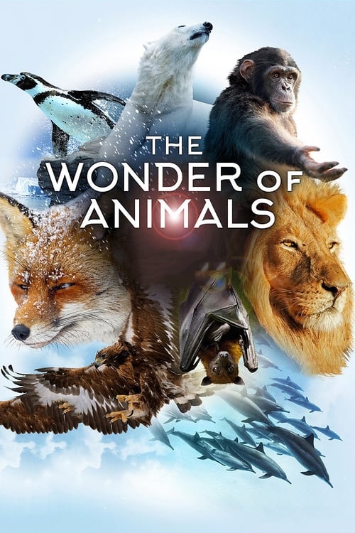 Show cover for The Wonder of Animals