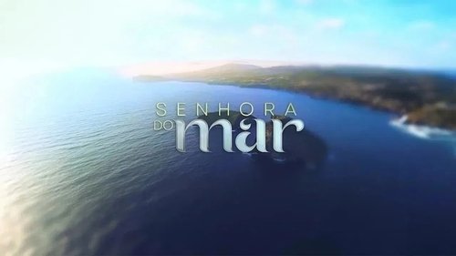 Episode 312