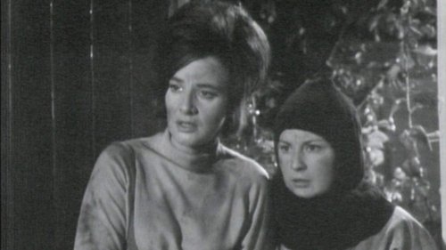 Background image for The Waking Ally