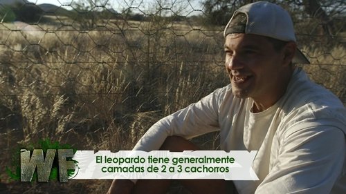 Background image for Africa: Episode 2