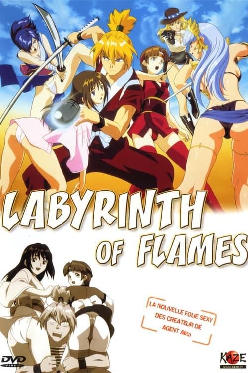 Show cover for Labyrinth of Flames