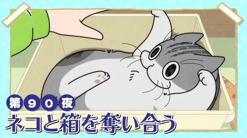 Night 90: Battling a Cat for a Box