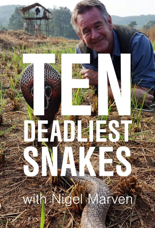 Show cover for Ten Deadliest Snakes with Nigel Marven