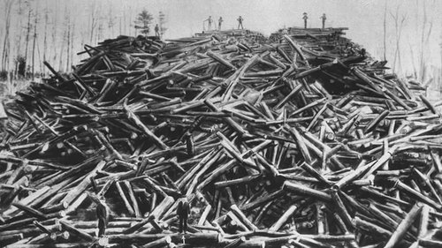 Background image for The Northern Forest (1910s – Early 21st Century)