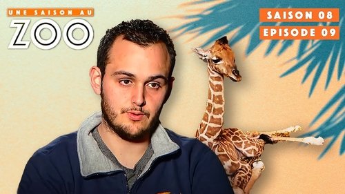 Background image for Episode 9