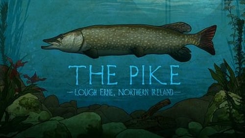 The Pike: Lough Erne, Northern Ireland