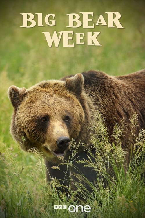 Show cover for Big Bear Week