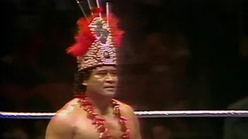 Background image for Madison Square Garden: Aug. 29, 1977