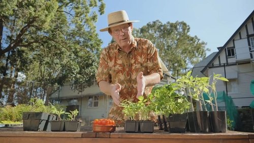 Background image for Episode 16 Flower Show, Tomato, Cumquat, Frost & Women