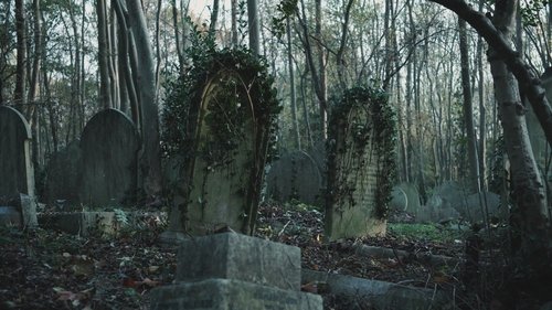 Background image for Mysterious Urban Legends