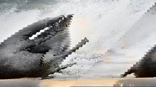 Background image for Islands