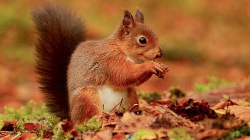 Background image for Episode 3