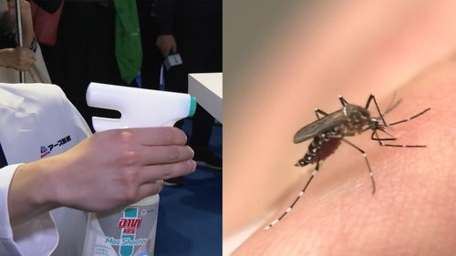 Background image for Firms Develop Mosquito Spray to Fight Dengue Fever