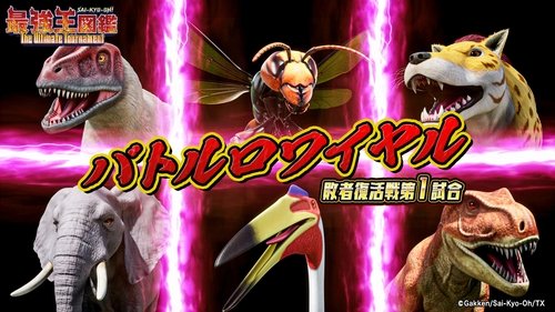 Background image for Episode 23