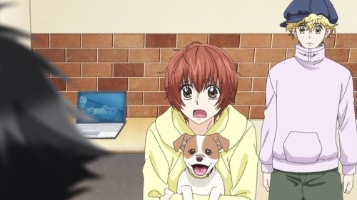 Background image for It's All My Fault