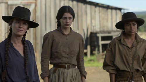 Background image for The Joaquins