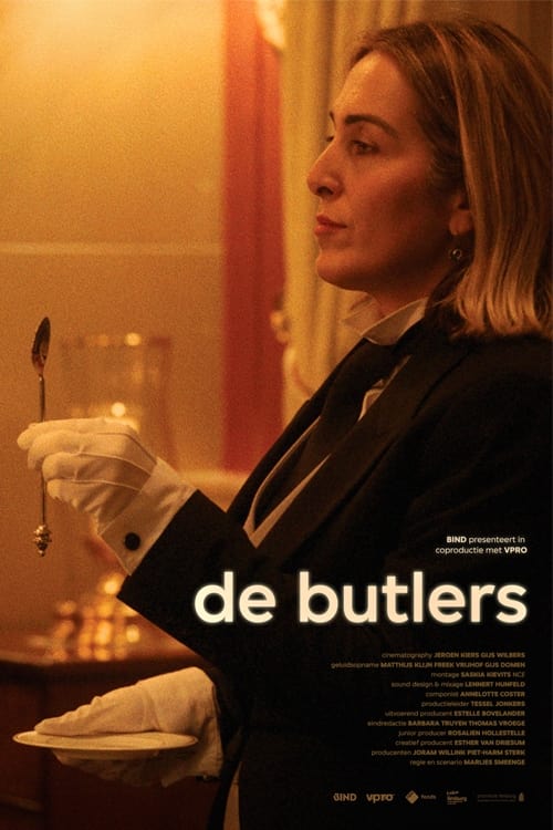 Show cover for De butlers