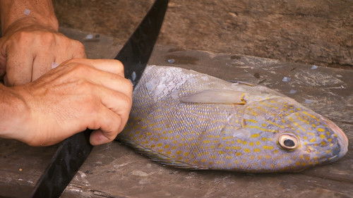 Background image for Episode 14