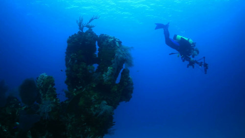 Background image for Episode 203