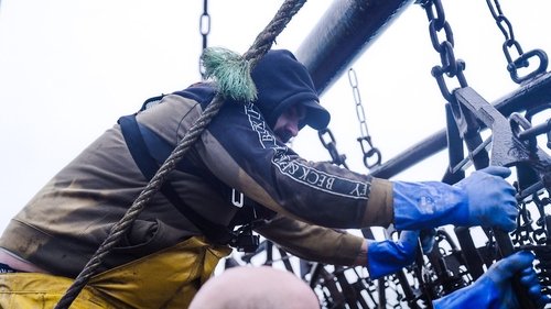 Background image for The Million Pound Catch