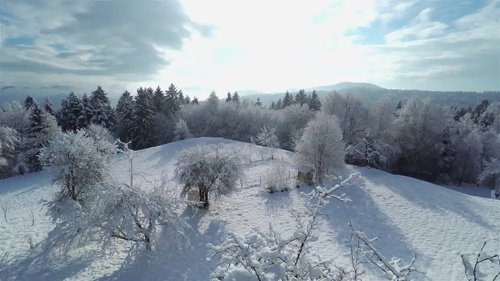 Background image for Frozen Archeology