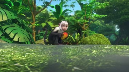 Background image for Mission: Capuchin Monkey Rescue