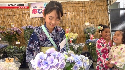 Background image for Asakusa - A Tour of Summer Traditions