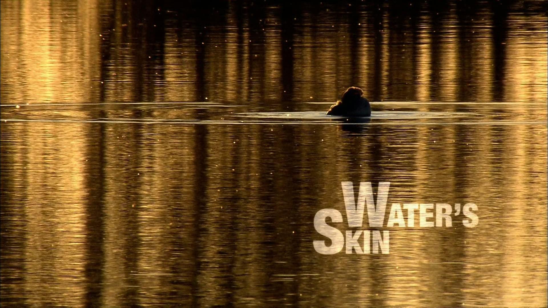 Water's Skin