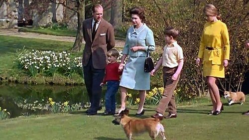 Background image for Royals & Animals: Till Death Do Us Part