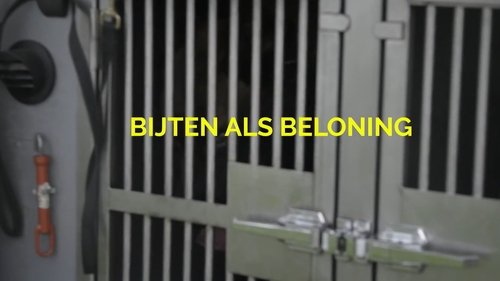Background image for Bijten als beloning