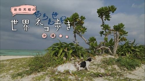 Okinawa