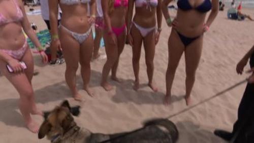 Background image for Spring Break: Bombed at the Beach