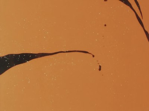 The Man Who Came Last