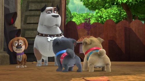 Background image for Bob's Blue Belt