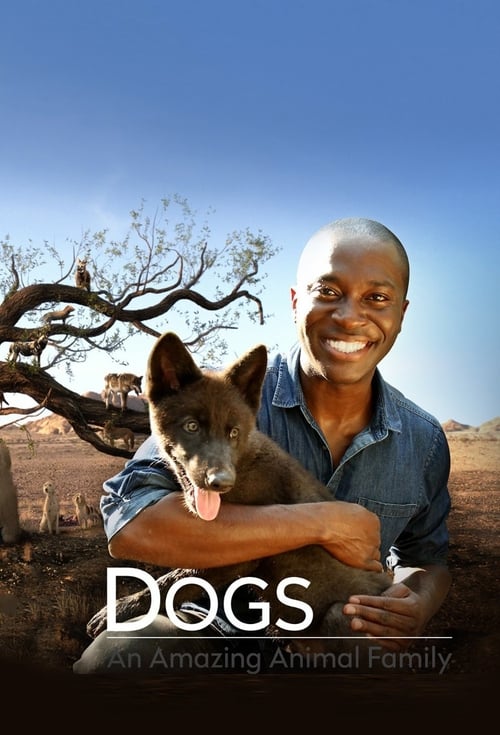 Show cover for Dogs: An Amazing Animal Family