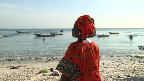 Senegal: Widows of the Sea