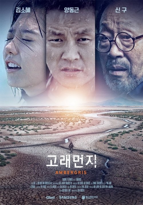 Ambergris poster