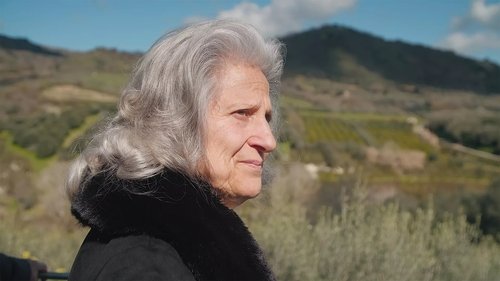 Background image for The Magistrate vs The Mob