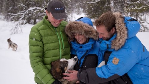 Background image for Swedish Arctic Circle