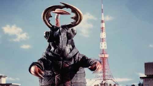 Background image for Mystery Homicide Beetle Incident