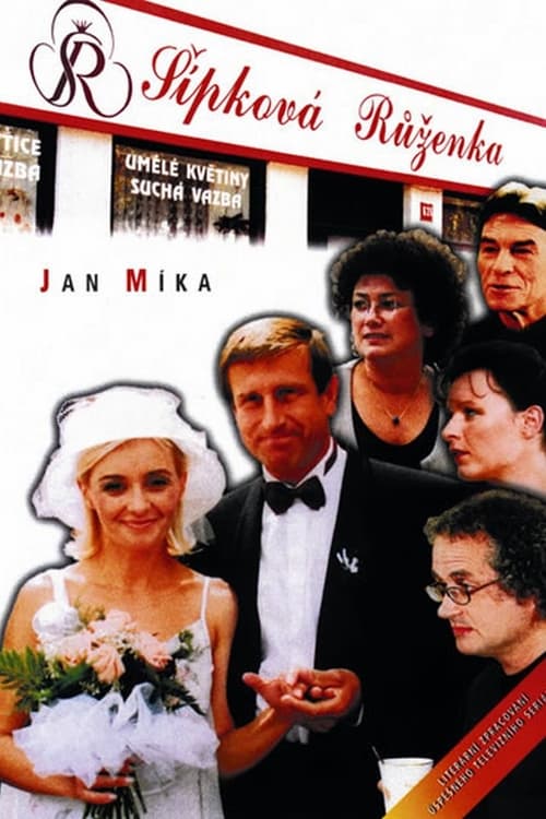 Show cover for Šípková Růženka