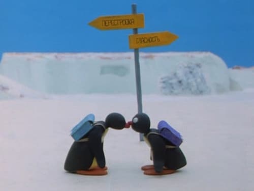 Pingu's Admirer